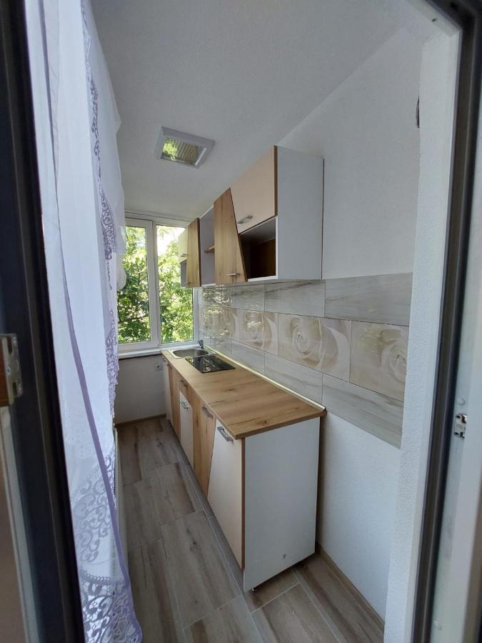 Imobil Ultracentral Baia Mare Exterior foto
